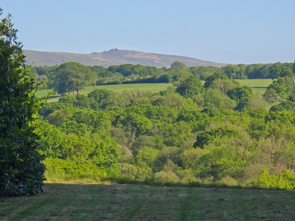 Property photo 3 of 55 5041202