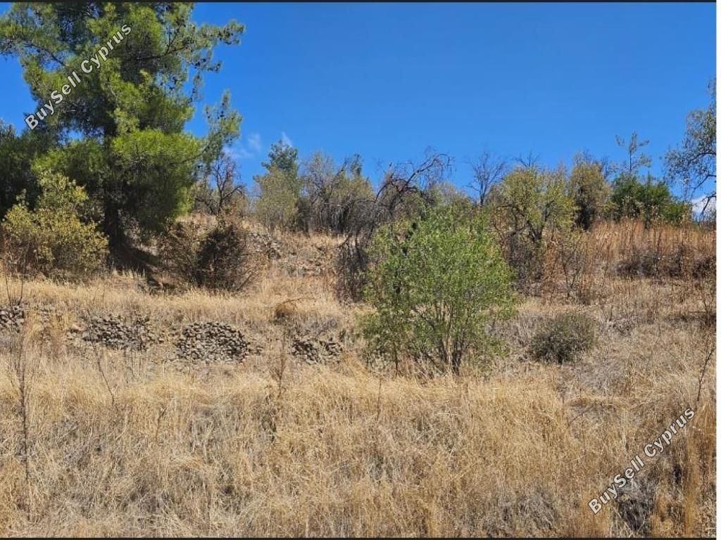 Property photo 3 of 7