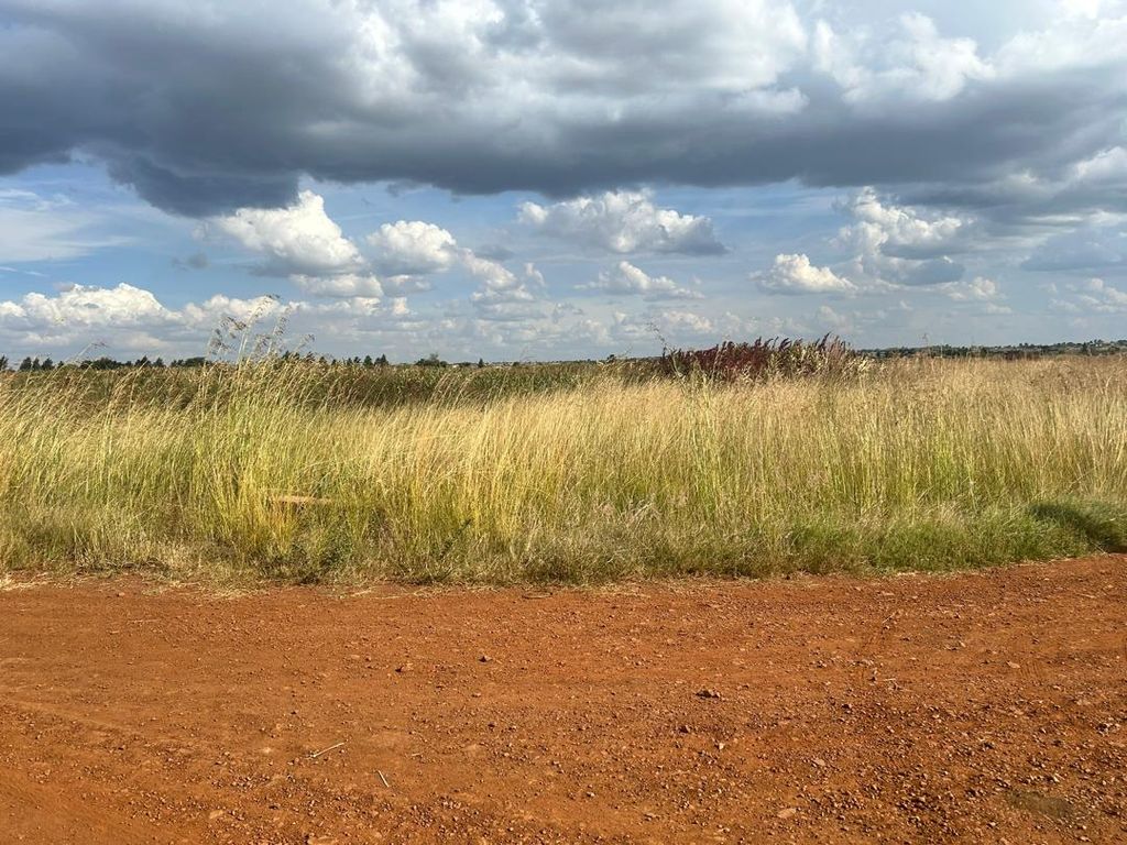 Property photo 1 of 4 Open Field Of Tall Golden Grasses With A Reddish Dirt Road In The Foreground Under A Cloudy Sky