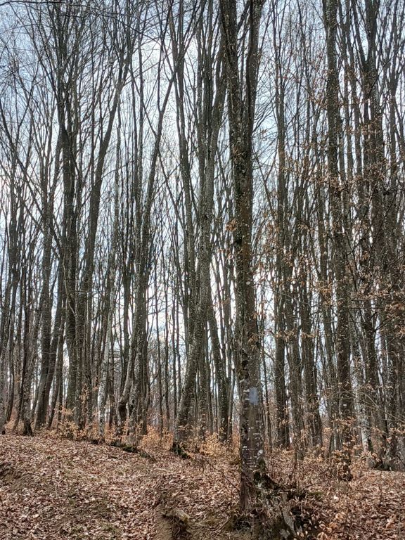 Property photo 3 of 3