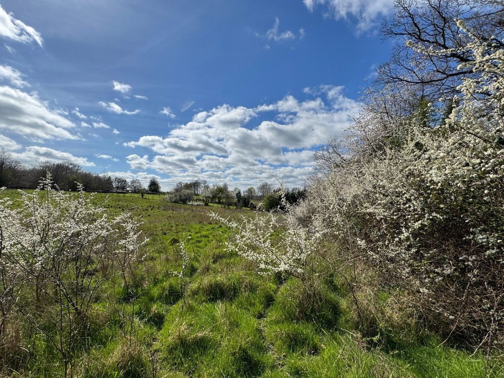 Property photo 2 of 4 Photo 4