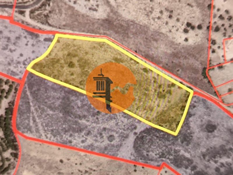 Property photo 2 of 53