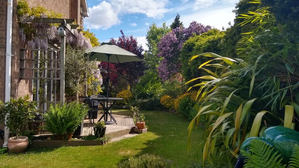 Property photo 3 of 25 Side Garden