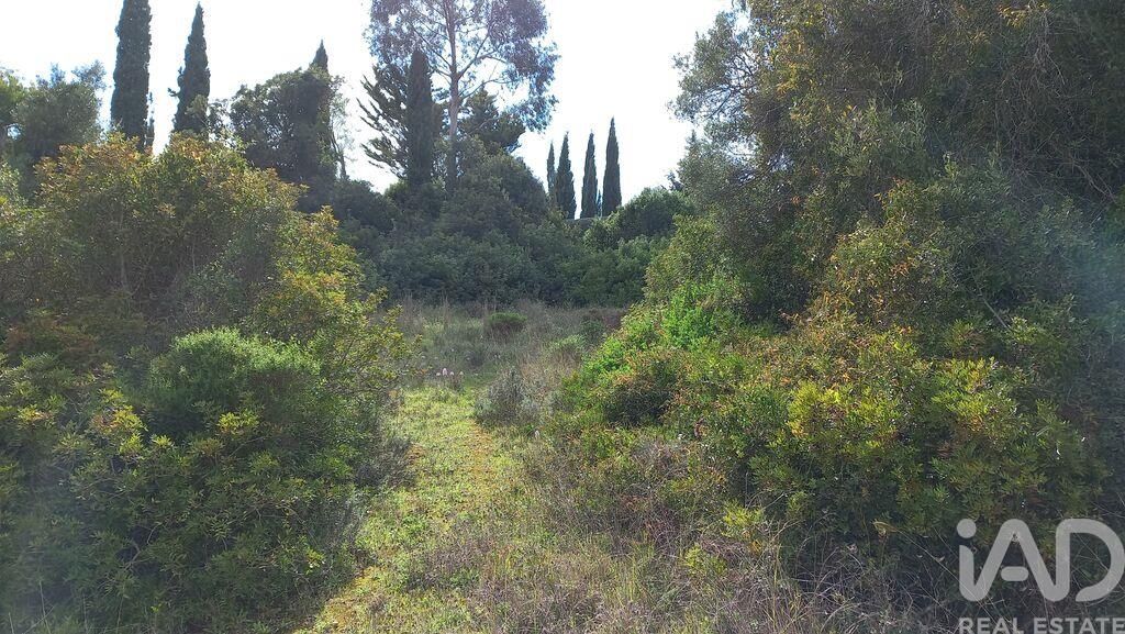Property photo 3 of 3
