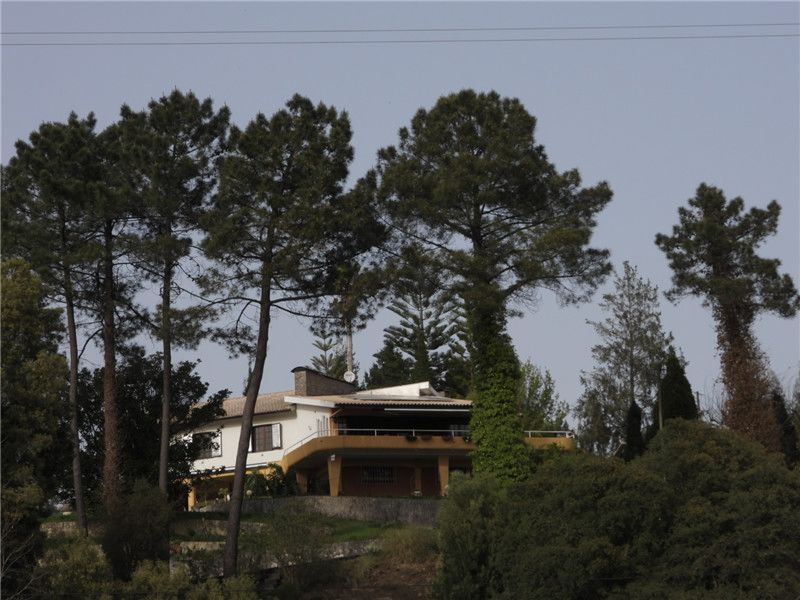 Property photo 3 of 91 Villa Facing South West Pine Trees