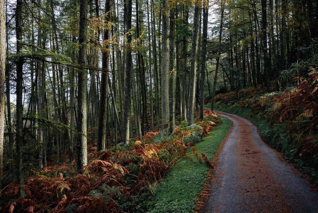 Property photo 3 of 19 @Pasco.Photography47.Jpg