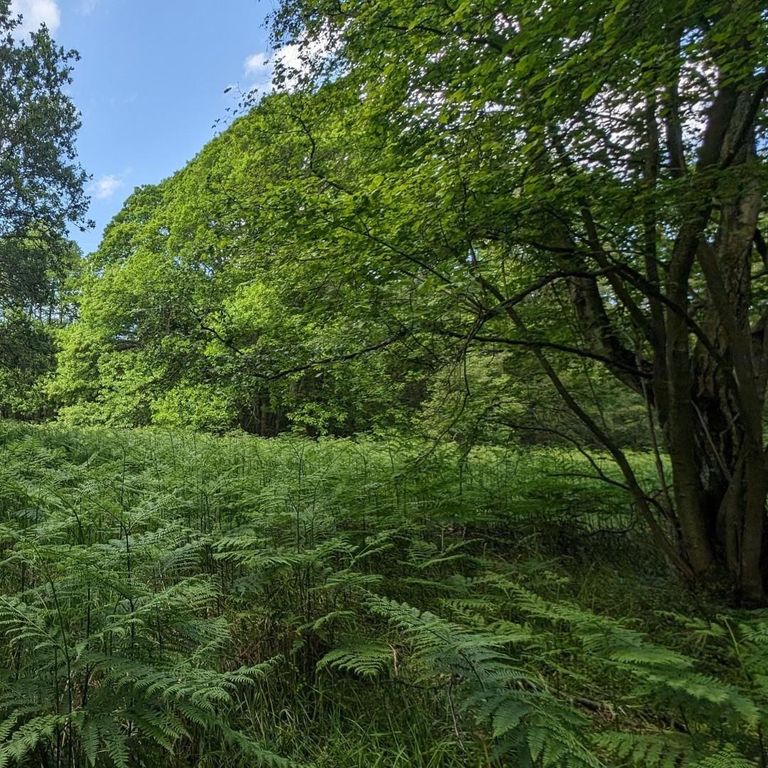 Property photo 3 of 12 Img-20251028-Wa0010.Jpg