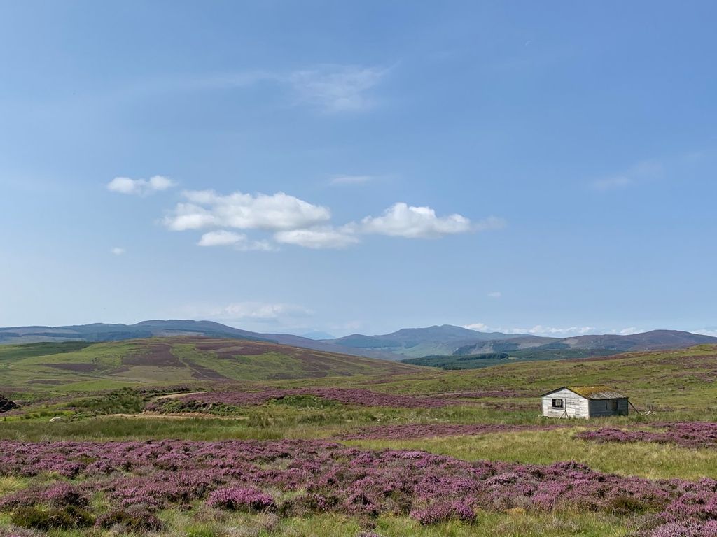 Additional image 40 of 9 bed country house for saleEnochdhu, Blairgowrie, Perthshire PH10