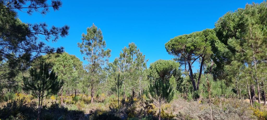 Property photo 1 of 10 Exclusive Quinta Muda Reserve Estate, Comporta