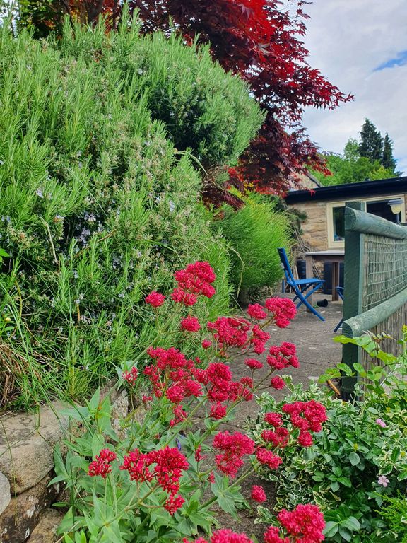 Property photo 2 of 19 Garden In Spring