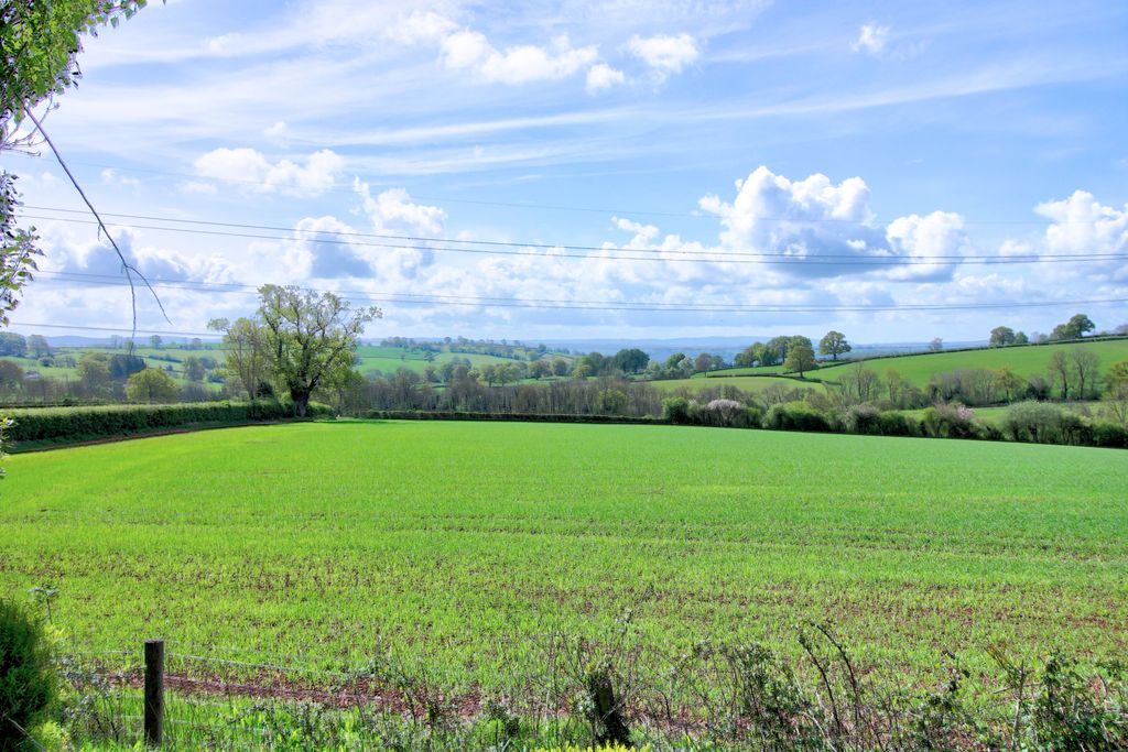 Additional image 34 of 4 bed farmhouse for saleNewcastle, Monmouth NP25