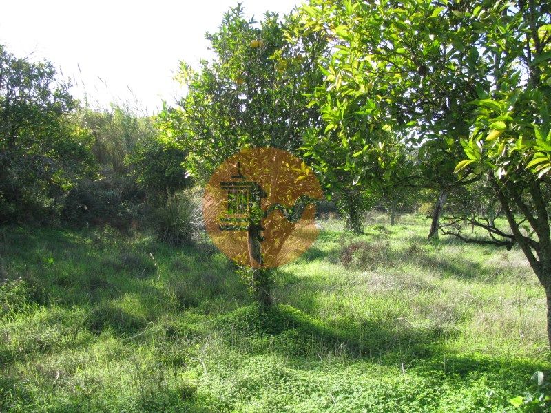 Property photo 1 of 30