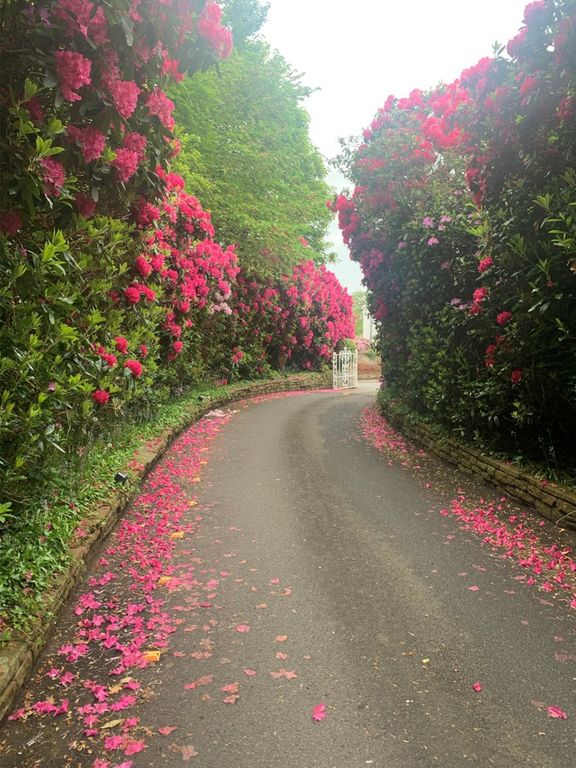 Property photo 3 of 5 Photo 4