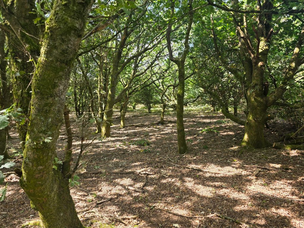 Property photo 3 of 7 20260810_111340
