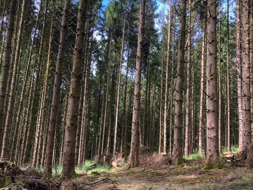 Property photo 1 of 8 Loxbeare Wood