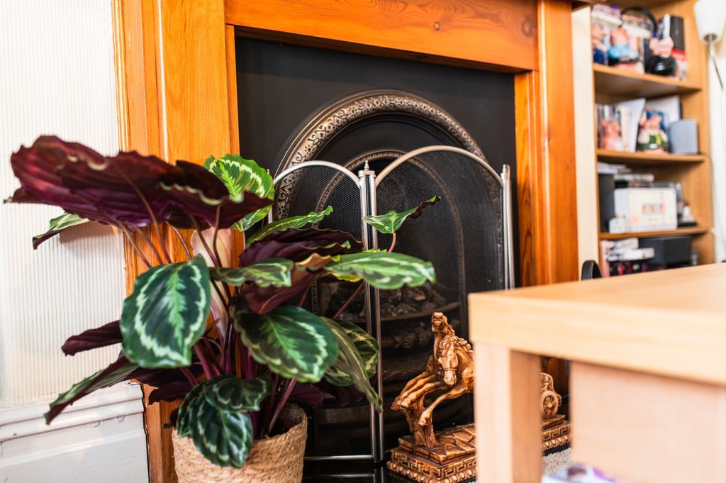 Property photo 3 of 23 Call 02920 454555 To Secure Your Viewing_21