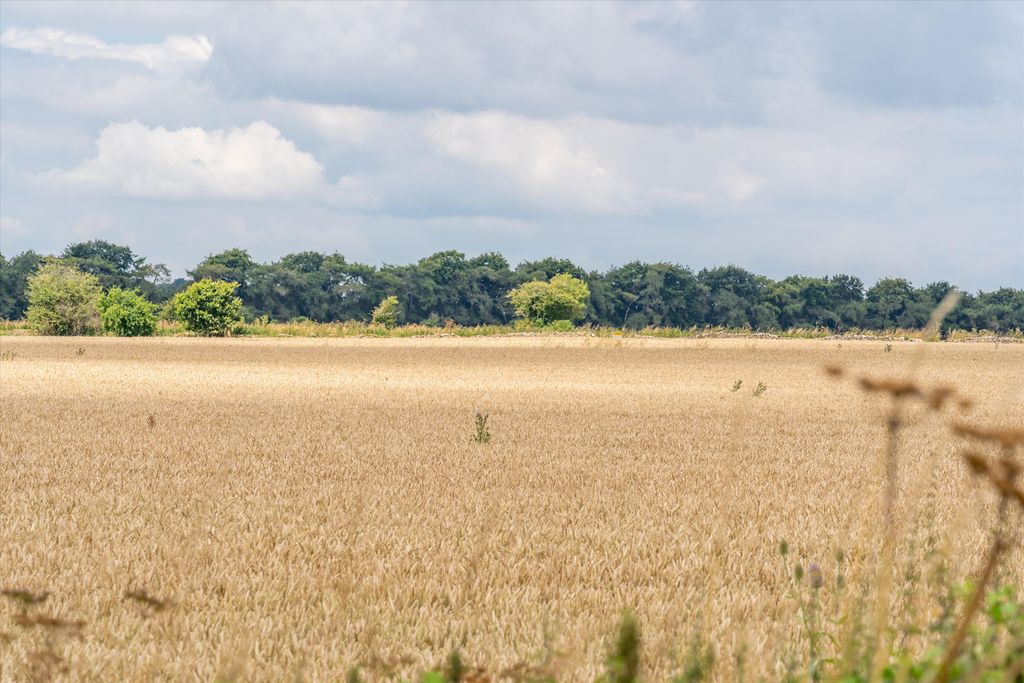 Property photo 2 of 4 Image