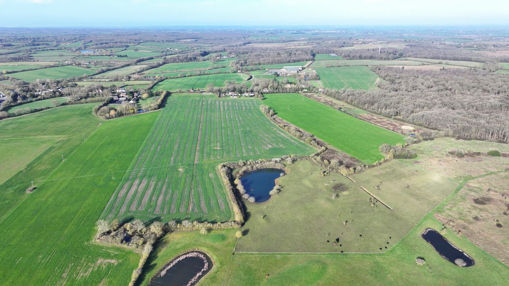 Property photo 2 of 3 Picture No. 03