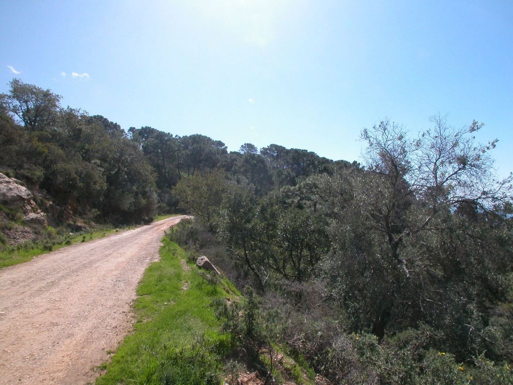 Property photo 2 of 2