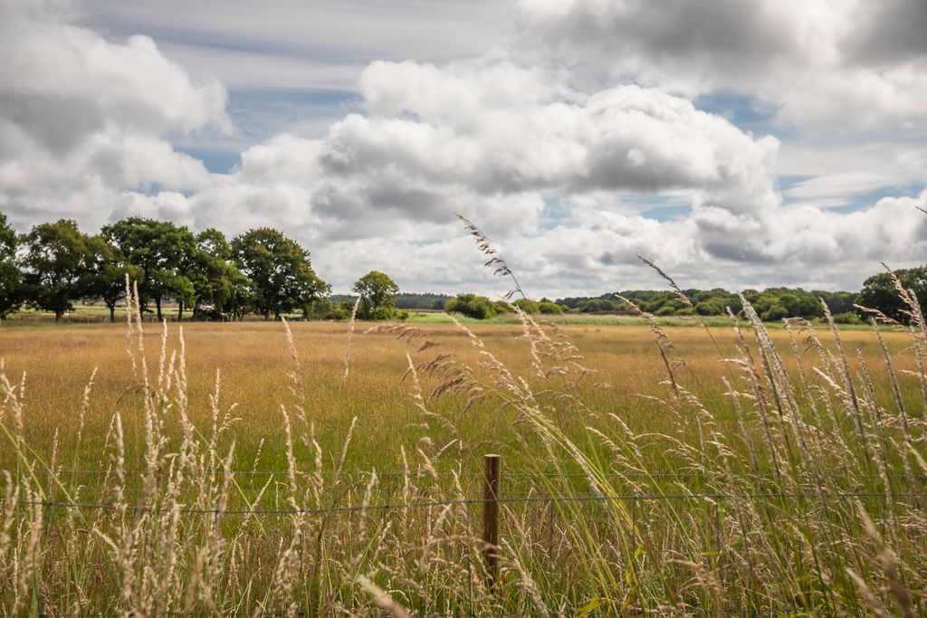 Additional image 30 of 4 bed country house to rentBarnhill Road, Ridge BH20