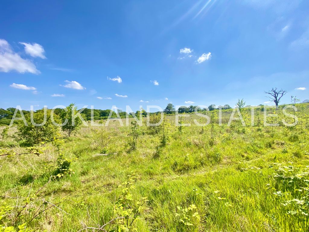 Property photo 2 of 22 Img_9092