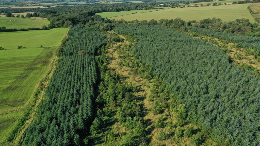 Additional image 5 of Land for saleWestward, Wigton 8Nq, Wigton CA7