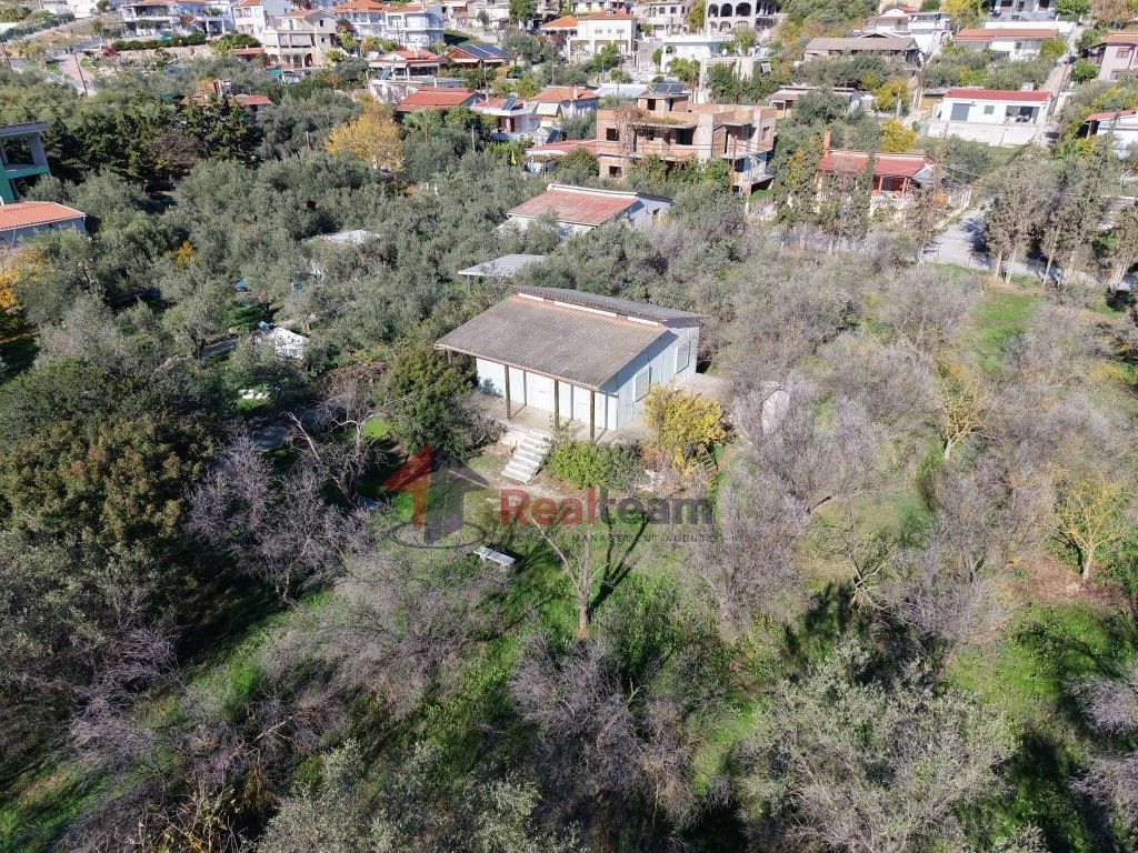 Property photo 3 of 24