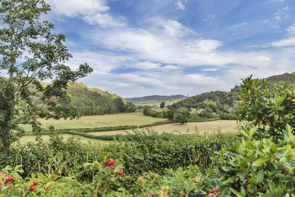 Property photo 2 of 21