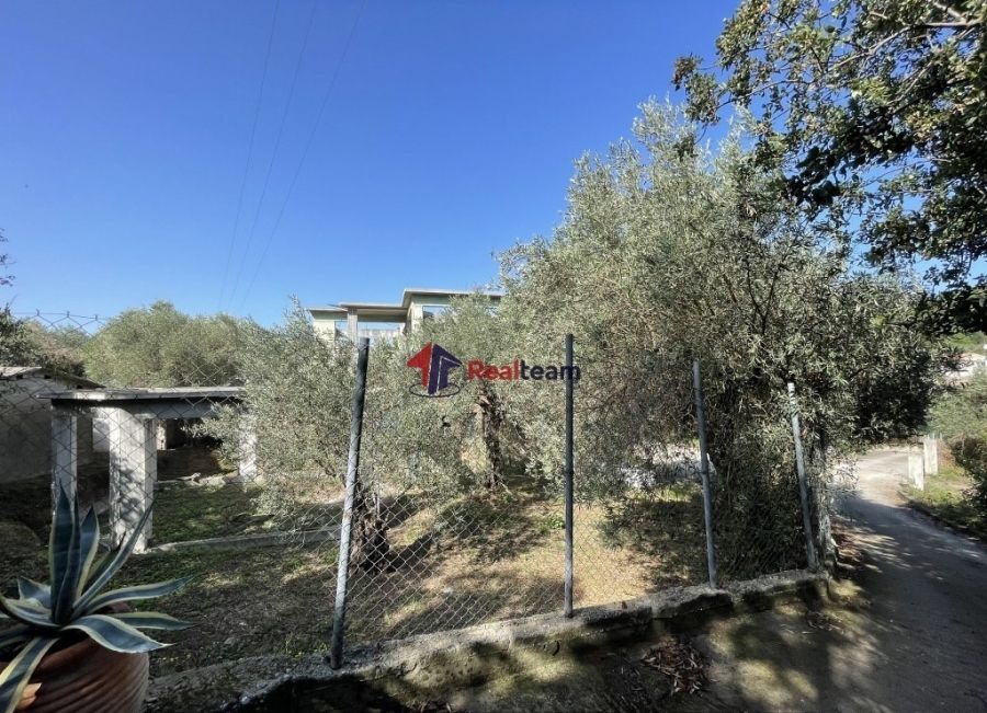 Property photo 3 of 25