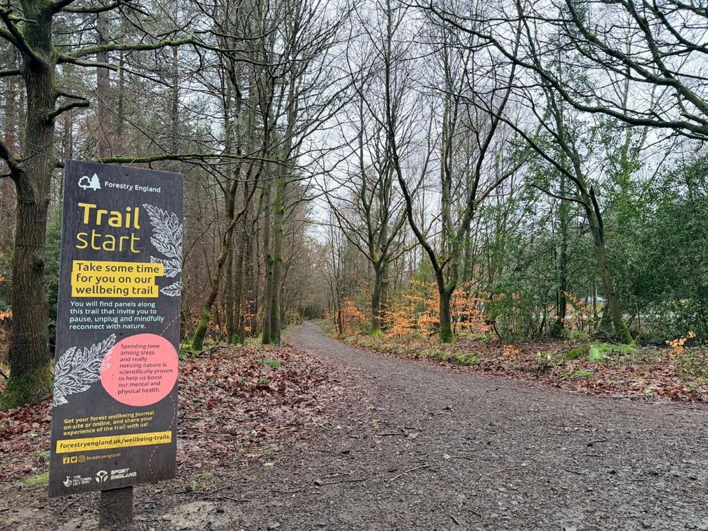 Property photo 3 of 8