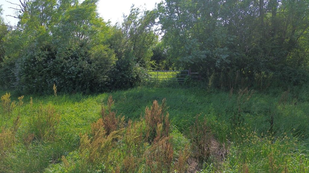 Property photo 2 of 8 Picture No. 03