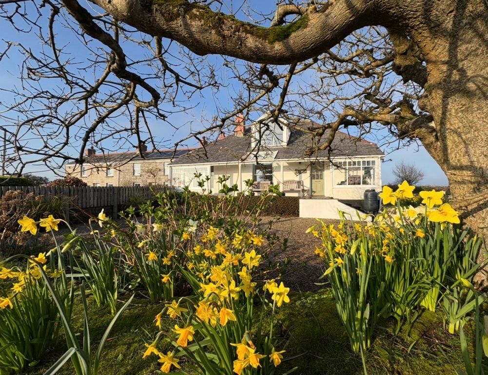 Property photo 3 of 35 4843964