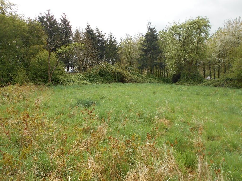 Property photo 3 of 4