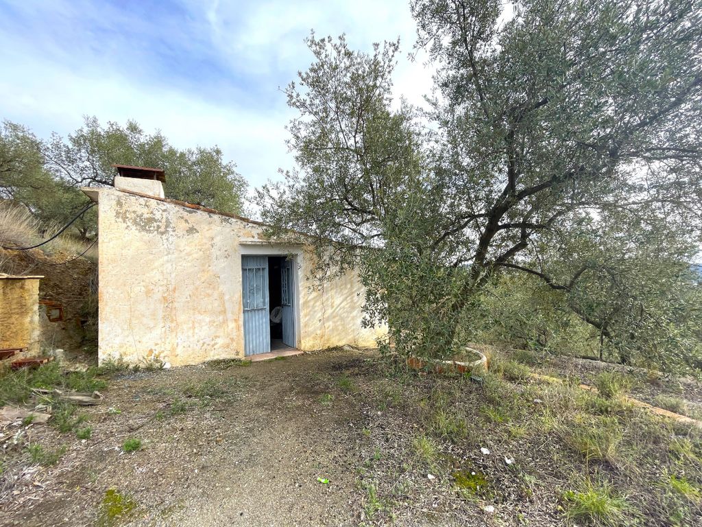 Property photo 2 of 13