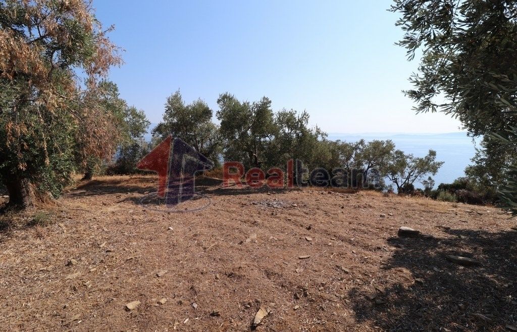 Property photo 3 of 20