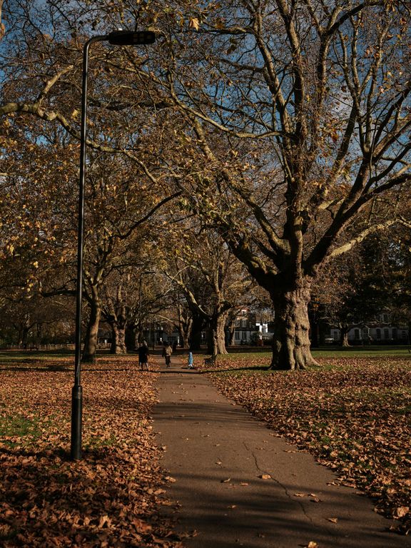 Property photo 3 of 5 Artform_Dalston_Selects_316_Fuji_Dscf6964.Jpg