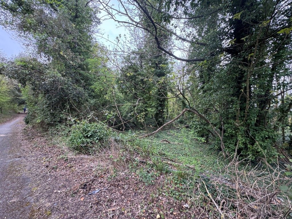 Property photo 1 of 4 Woodland 1