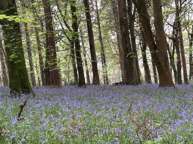 Property photo 3 of 24 Picture No. 04