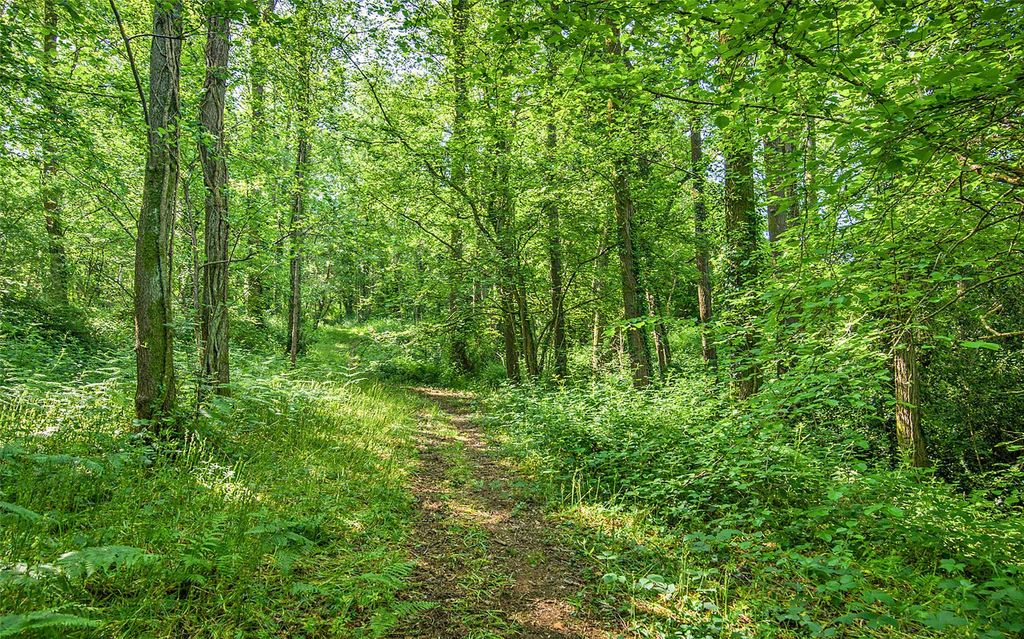 Additional image 40 of Land for saleLlantrisant, Nr Usk, Monmouthshire NP15