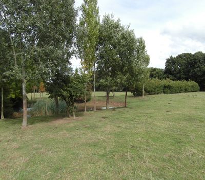 Additional image 8 of Land for saleCrowhurst Village Road, Lingfield RH7