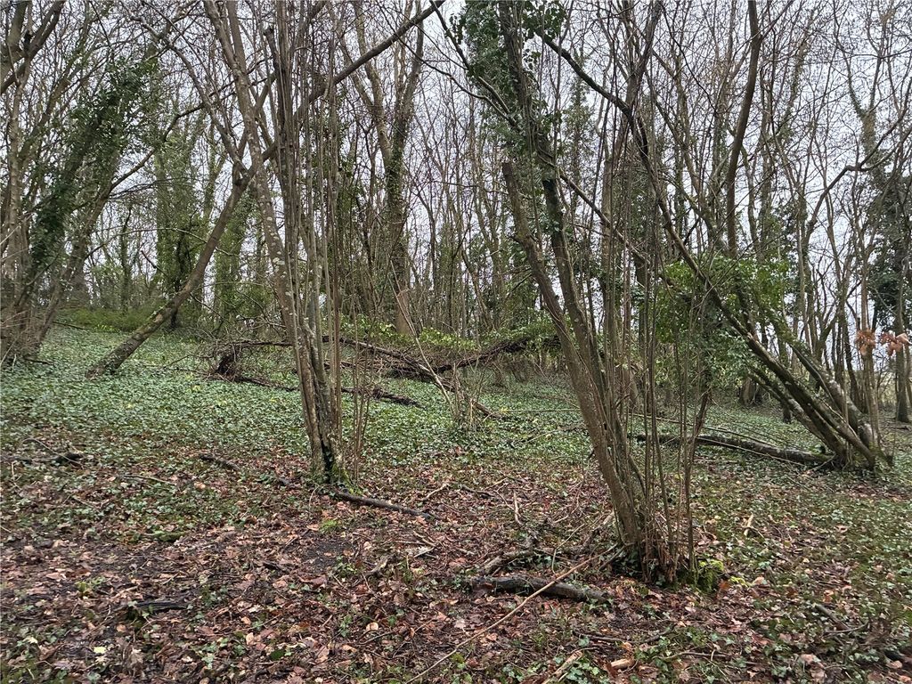 Property photo 1 of 13 Picture No. 04