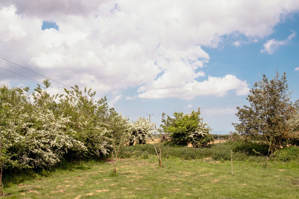 Property photo 3 of 32 345594 - Field.Jpg
