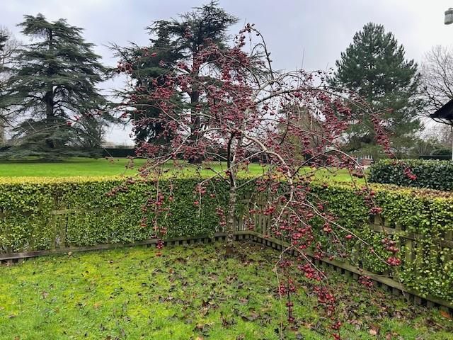 Property photo 2 of 5 External View