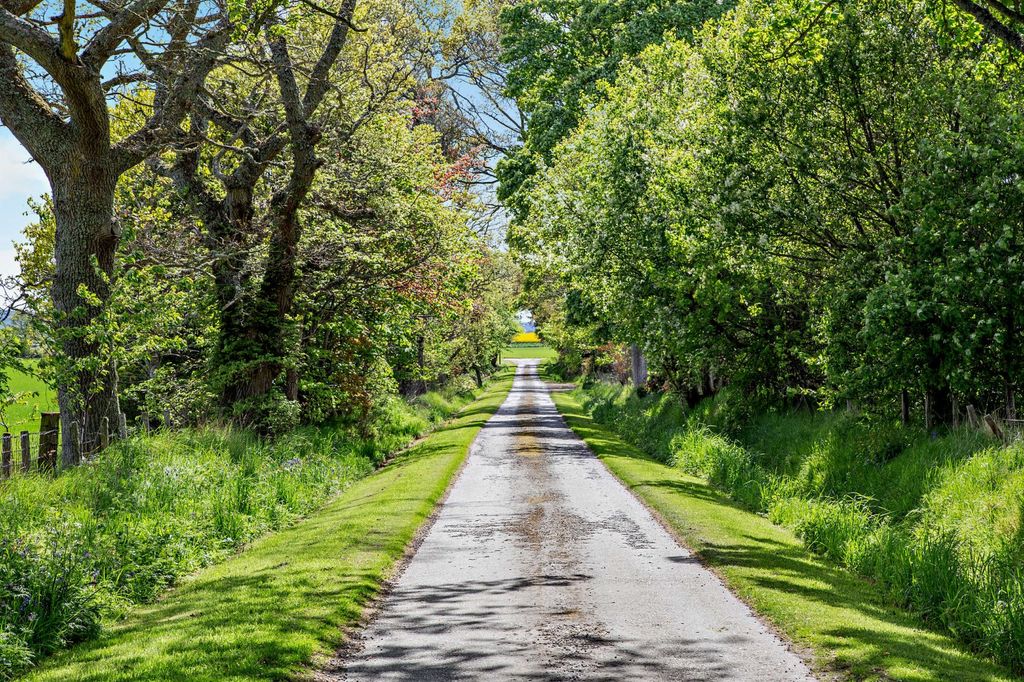 Additional image 16 of Country house for saleThe Whole - Mounteagle Estate, Fearn, Tain, Ross-Shire IV20