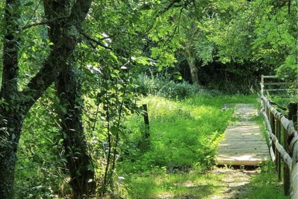 Property photo 3 of 30 Woodland