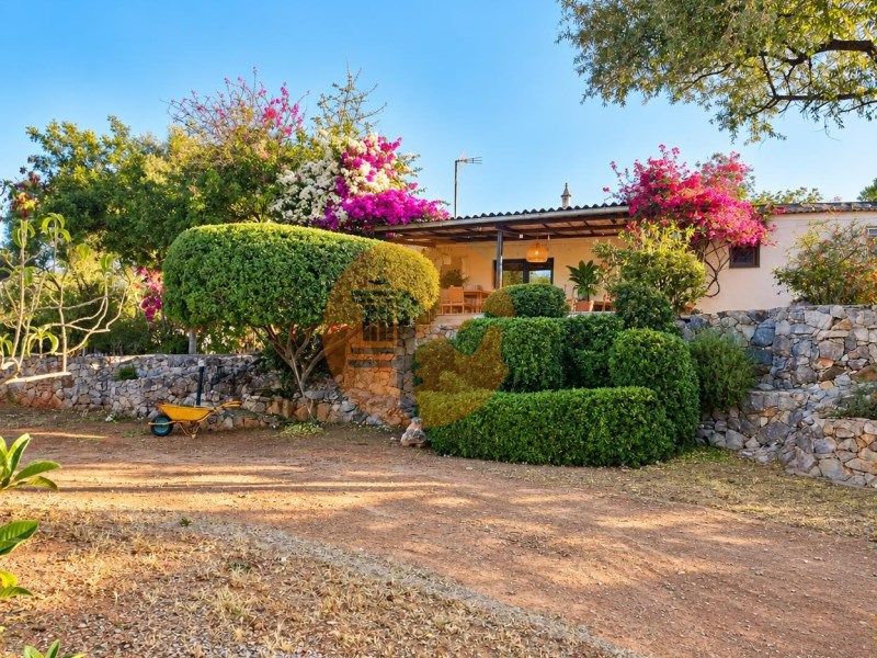 Property photo 3 of 38