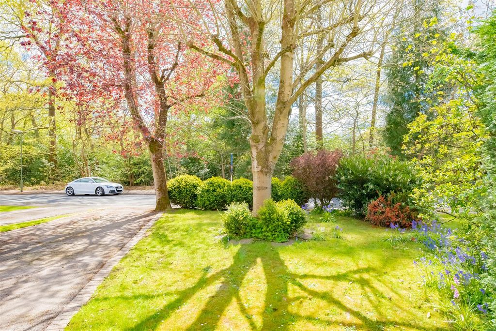 Property photo 3 of 24 Dsc_0125.Jpg