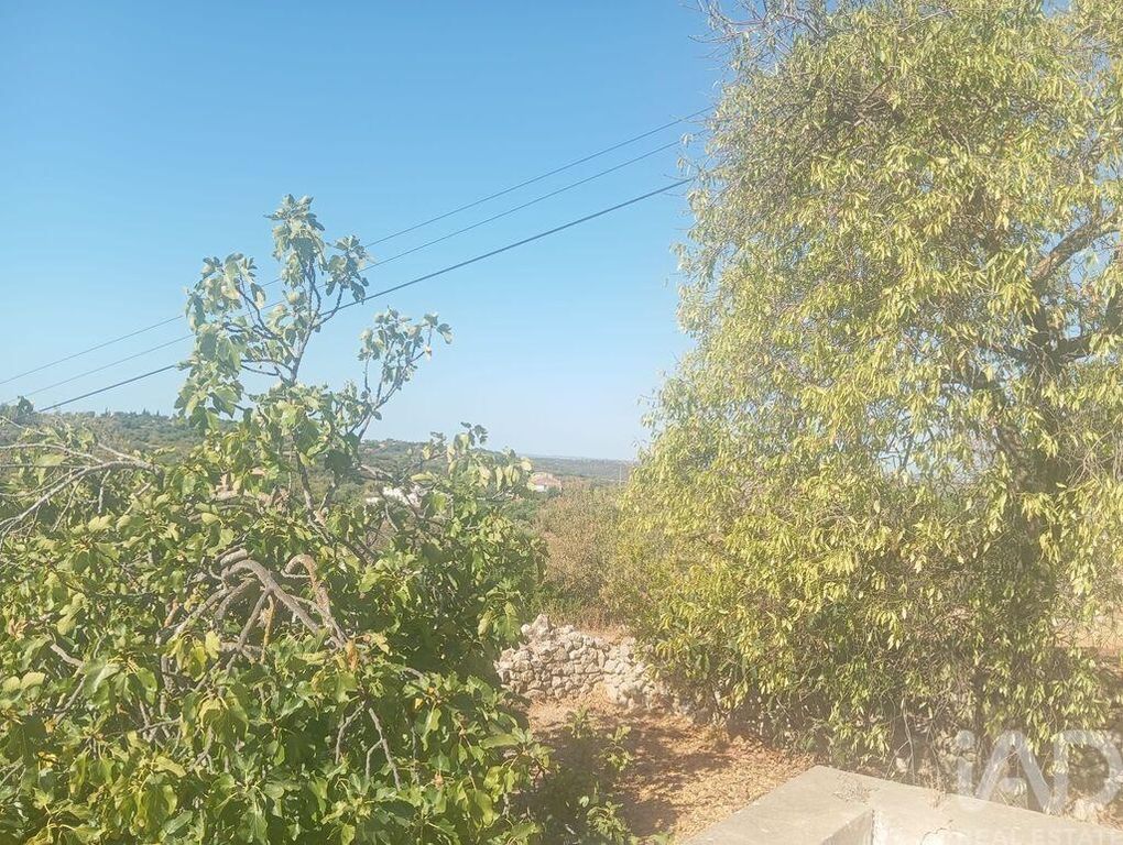 Property photo 3 of 30