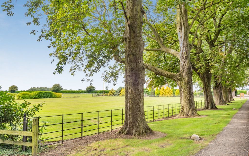 Property photo 3 of 20 Driveway