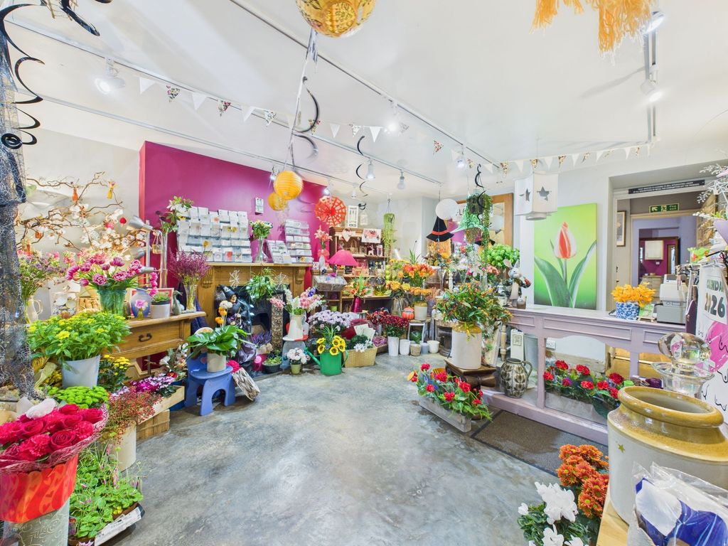 Property photo 3 of 22